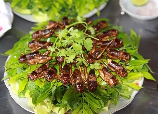 Điều gì tạo nên sự đặc biệt cho ẩm thực miền Tây?